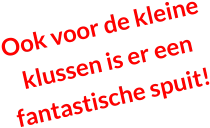 Ook voor de kleine    klussen is er een fantastische spuit!